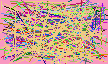 lookup people